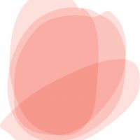 Mgr. Šárka Pflanzerová